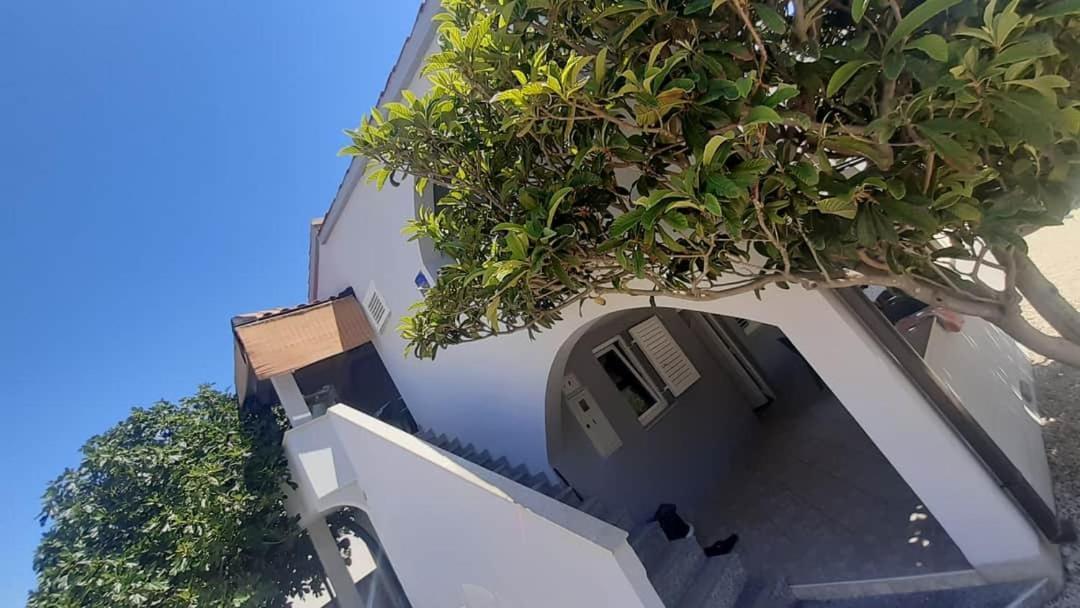 Apartments Ankora ויר מראה חיצוני תמונה